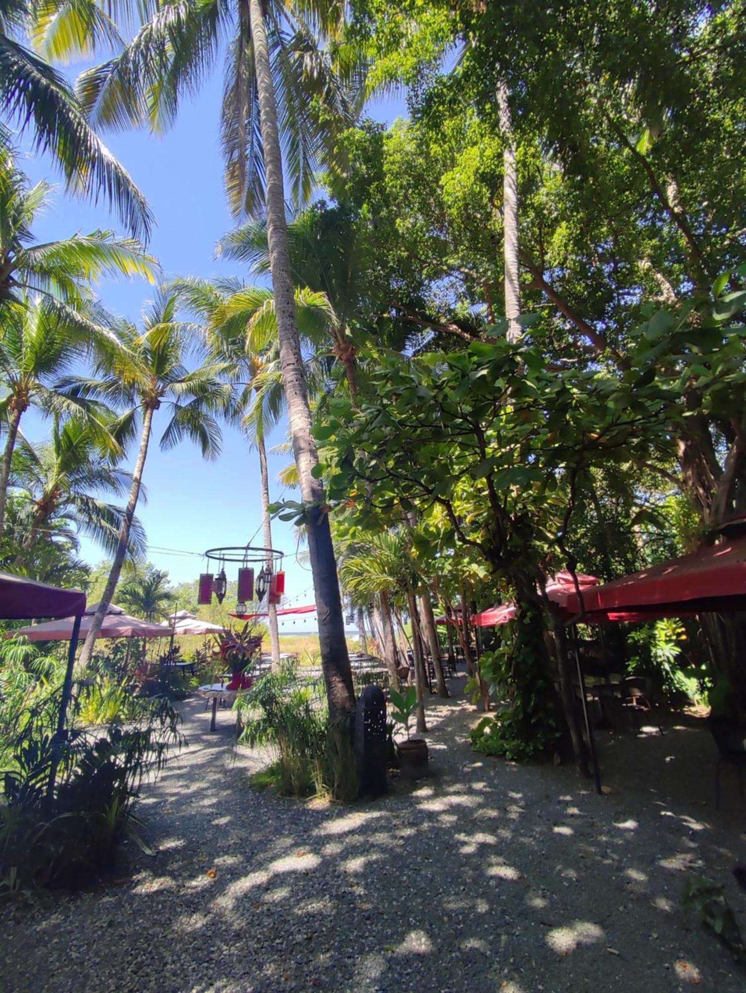 Hotel Laguna Del Cocodrilo Tamarindo Bagian luar foto