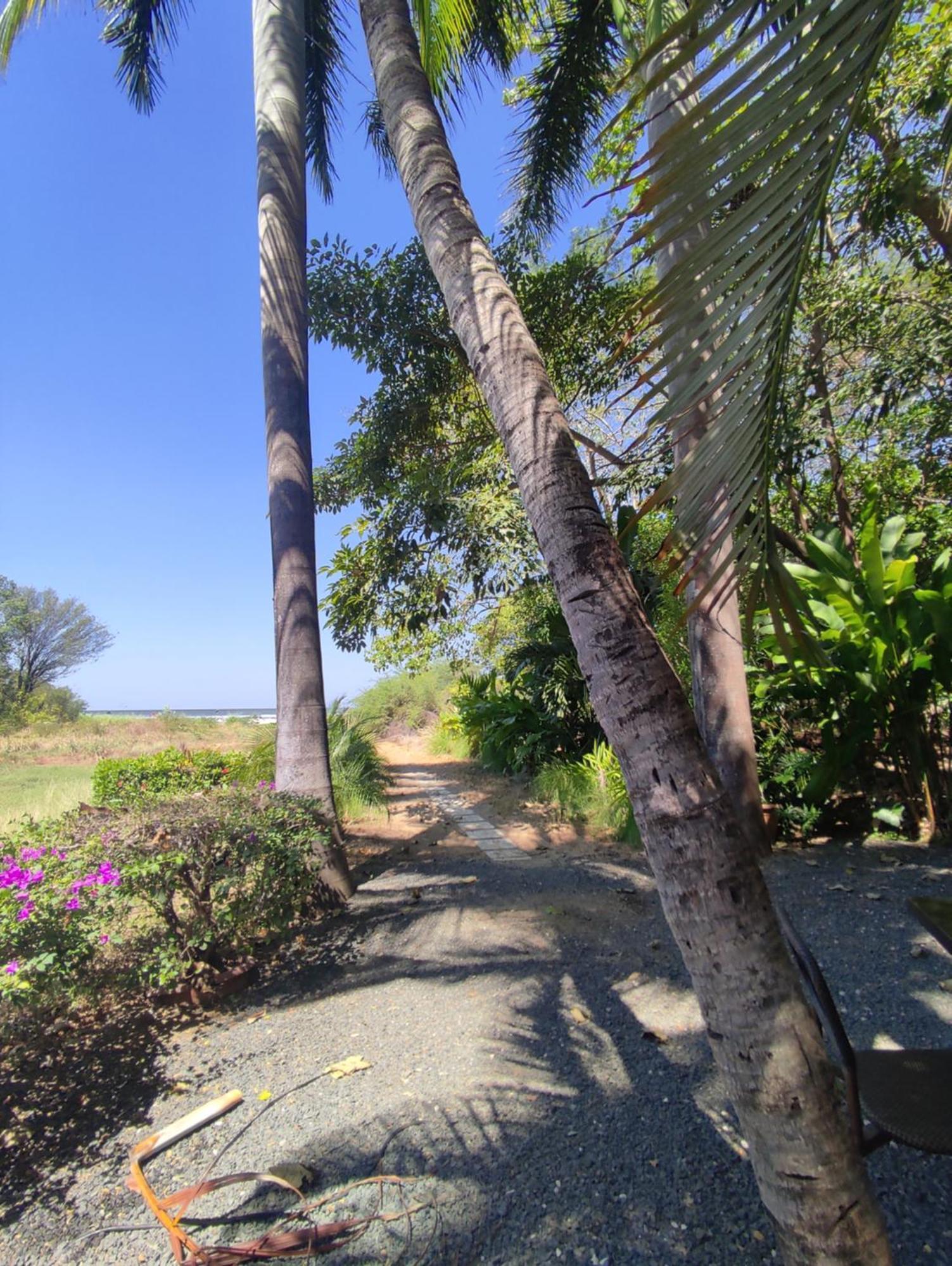 Hotel Laguna Del Cocodrilo Tamarindo Bagian luar foto