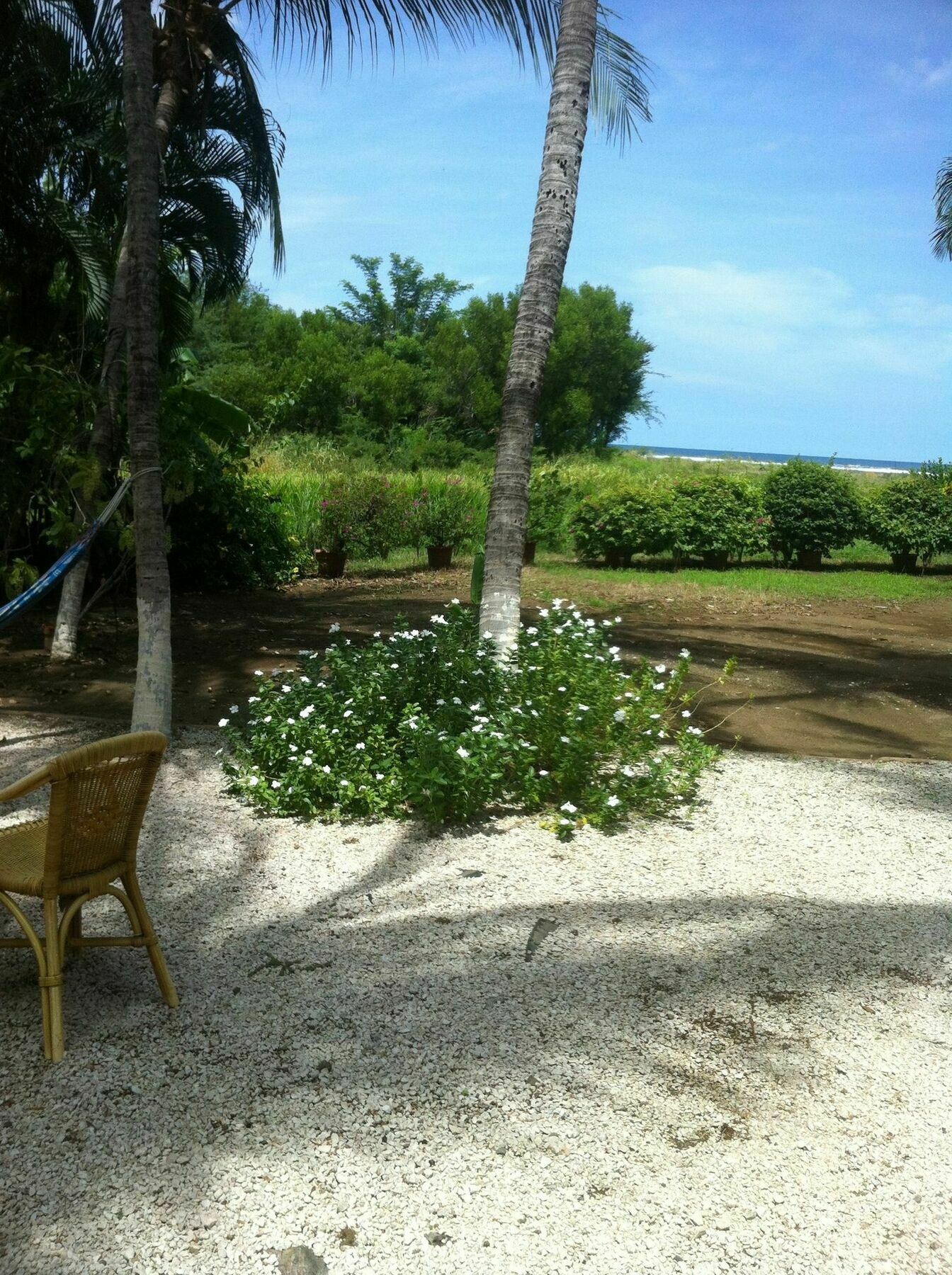 Hotel Laguna Del Cocodrilo Tamarindo Bagian luar foto