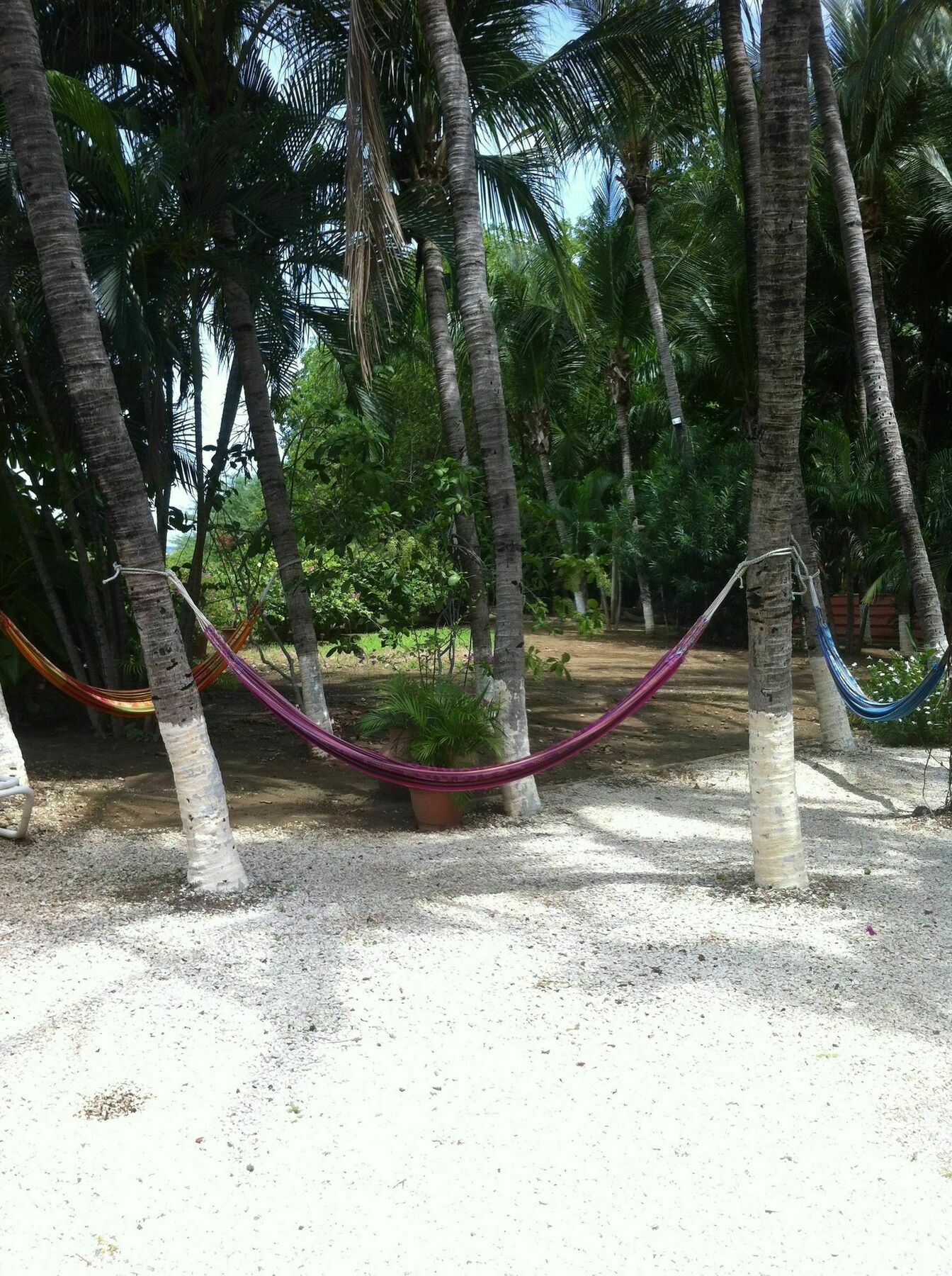 Hotel Laguna Del Cocodrilo Tamarindo Bagian luar foto